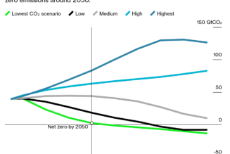 $280-Billion Investment Needed to Tackle Climate Change in Africa, Report