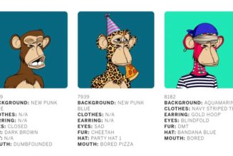 A Bundle of 101 Bored Ape NFTs Sold for $24.4 Million USD