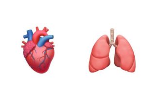A doctor’s quest for more organ emoji