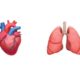 A doctor’s quest for more organ emoji
