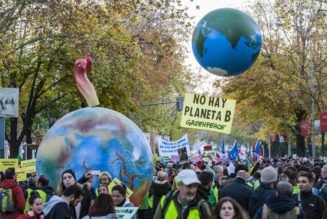 Activists push to delay most high-profile climate summit since Paris agreement