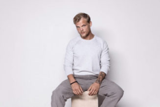 Avicii’s Estate Announces New Documentary Coming in 2023