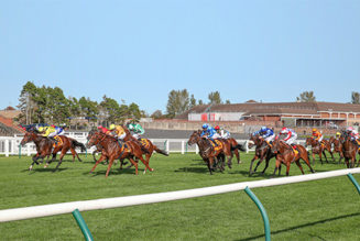 Ayr Gold Cup 2021 Preview, Predictions & Betting Tips – Side with Commanche Falls for Scottish Sprint