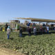 Biden administration to write workplace safety rule tackling heat stress