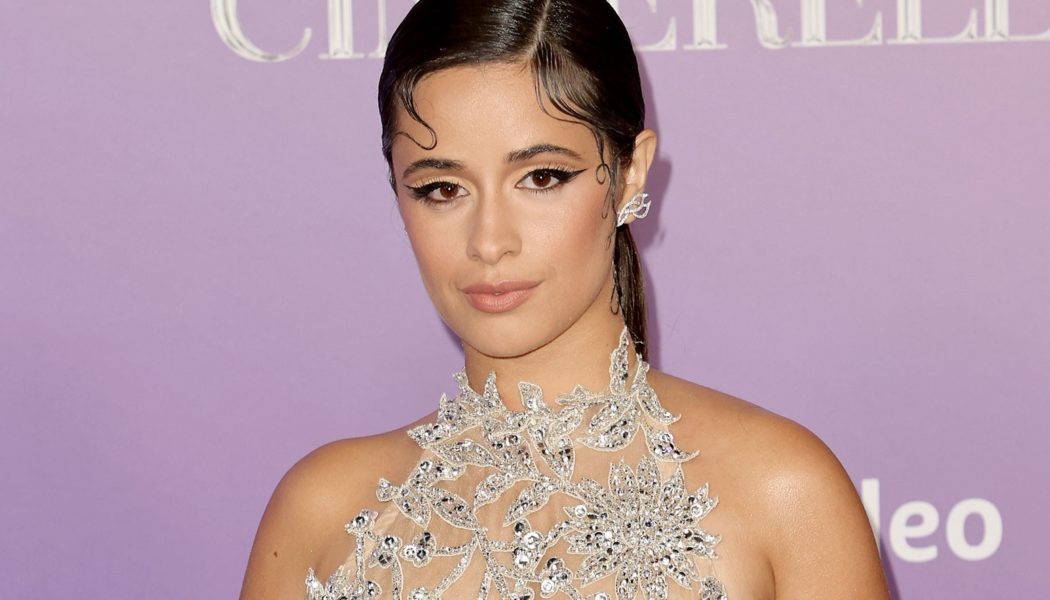 Camila Cabello, Billie Eilish & More Urge Entertainment Execs to Demand Congressional Action on Climate Change