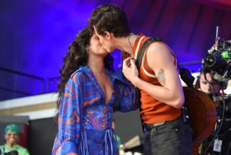 Camila Cabello Welcomes Shawn Mendes to Global Citizen Stage With a Kiss: Watch