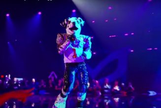 Dalmatian Is In the Dog House on ‘The Masked Singer’