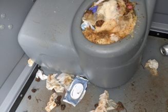 Elements Festival Issues Apology After Attendees Compare 2021 Event to Fyre Festival