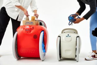 Gitamini is a cute, compact, cargo-carrying robot that will follow you around like a dog