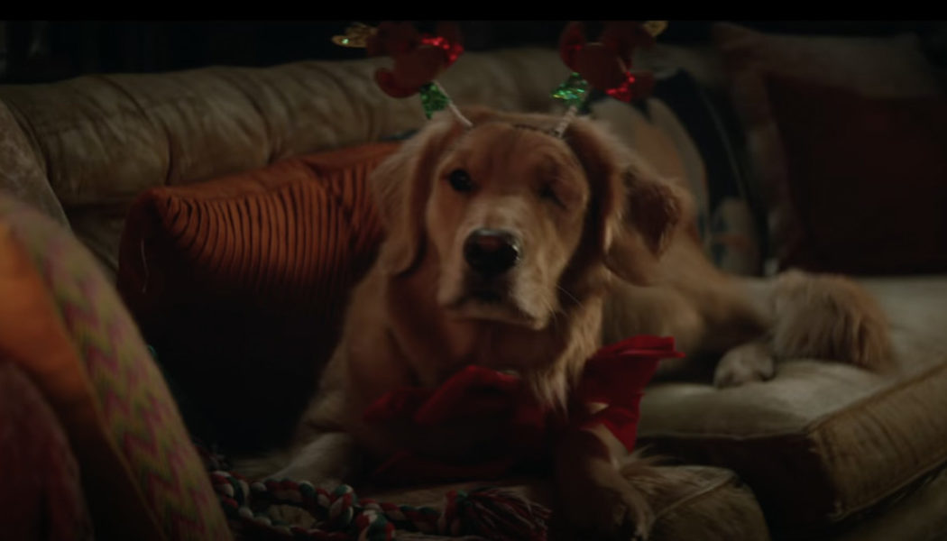 Hawkeye’s first trailer introduces the other Hawkeye and some Christmas hijinks