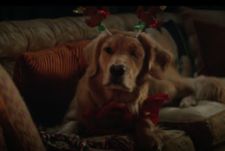 Hawkeye’s first trailer introduces the other Hawkeye and some Christmas hijinks