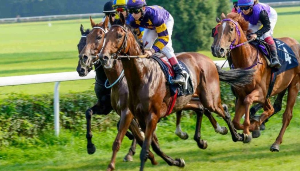 Horse Racing Betting Tips – Andrew Mount shares his system picks for Monday September 13th