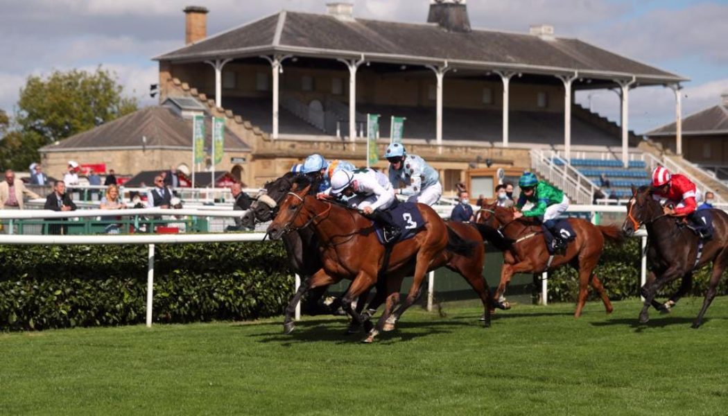 Horse Racing NAP of the Day: Our 9/4 Horse Racing Betting Tip on Thursday + a £25 Risk Free Bet