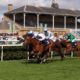 Horse Racing NAP of the Day: Our 9/4 Horse Racing Betting Tip on Thursday + a £25 Risk Free Bet