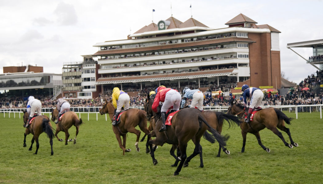 Lucky 15 Tips – Friday’s 1394/1 Lucky 15 from Ayr and Newbury