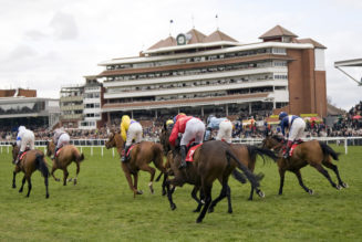 Lucky 15 Tips – Friday’s 1394/1 Lucky 15 from Ayr and Newbury
