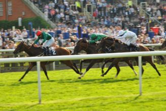 Lucky 15 Tips – Friday’s 460/1 Lucky 15 from York and Newmarket