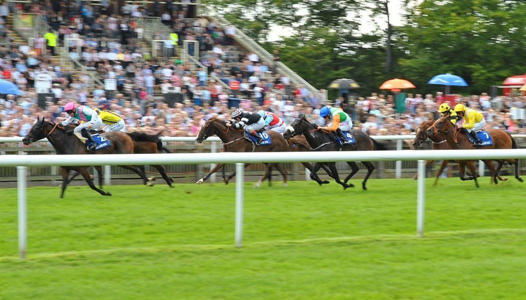 Lucky 15 Tips – Saturday’s 193/1 Lucky 15 from Newmarket & Curragh