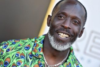 Michael K. Williams Death Being Investigated As Overdose, NYPD Seeking Drug Dealer