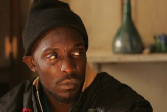 R.I.P. Michael K. Williams, The Wire and Boardwalk Empire Actor Dead at 54