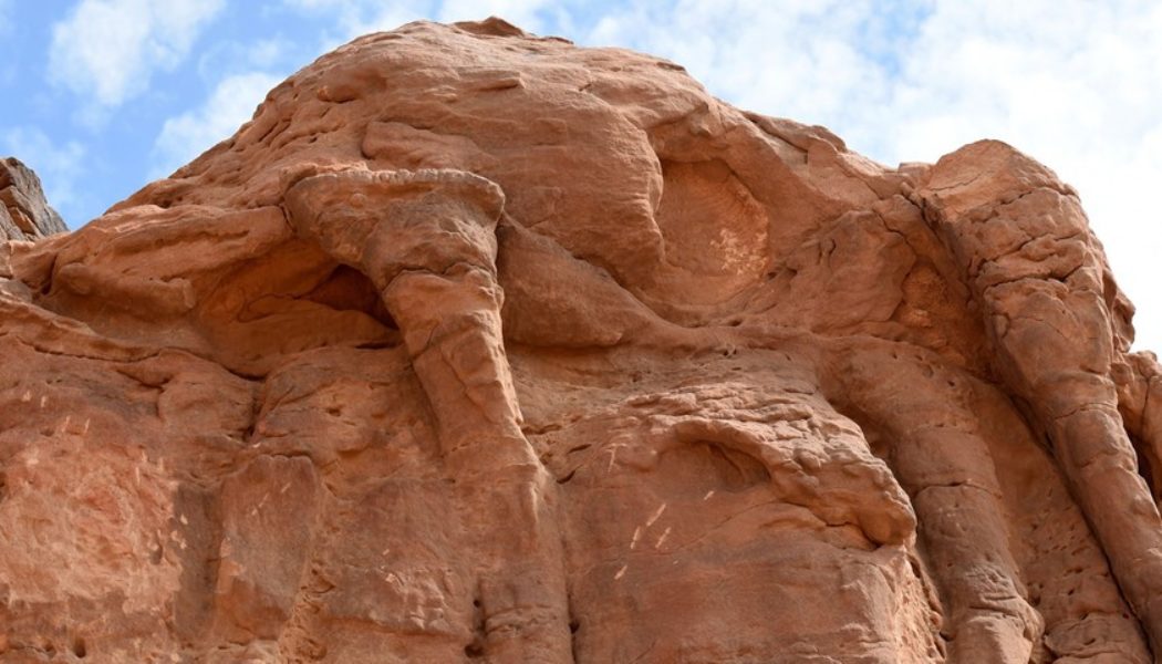 Researchers Have Uncovered Massive Camel Structures in Northwestern Saudi Arabia