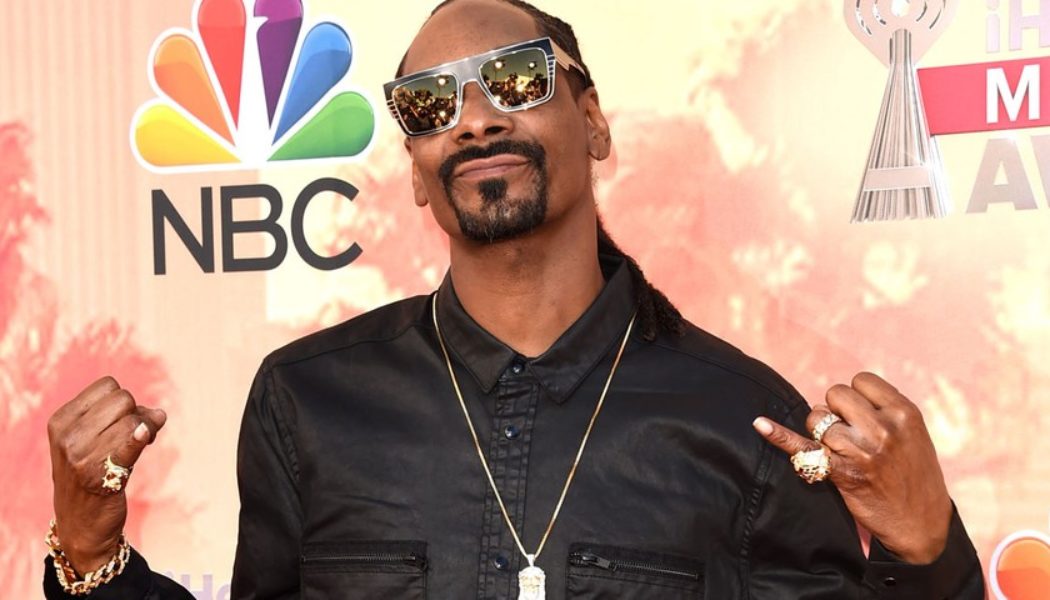 Snoop Dogg Announces Upcoming Star-Studded Album and New Def Jam Kids’ Record