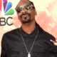 Snoop Dogg Announces Upcoming Star-Studded Album and New Def Jam Kids’ Record