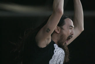 Steve Aoki Is the First Dance Music Artist to Be Inducted Into Asian Hall of Fame