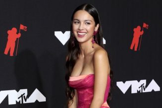 The MTV VMAs Red Carpet Looks That Shocked and Amazed Us