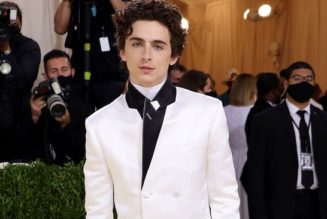 Timothée Chalamet Wore Sweats With Converse to the Met Gala, and I’m Screaming
