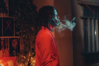 VIDEO: Seyi Vibez – Professor Peller ft. Zlatan