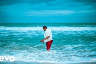 VIDEO: Vector – License