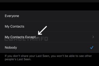 WhatsApp May Soon Let Users Hide Their ‘Last Seen’ Status