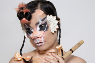 Björk Is Making a Living Room Club Album