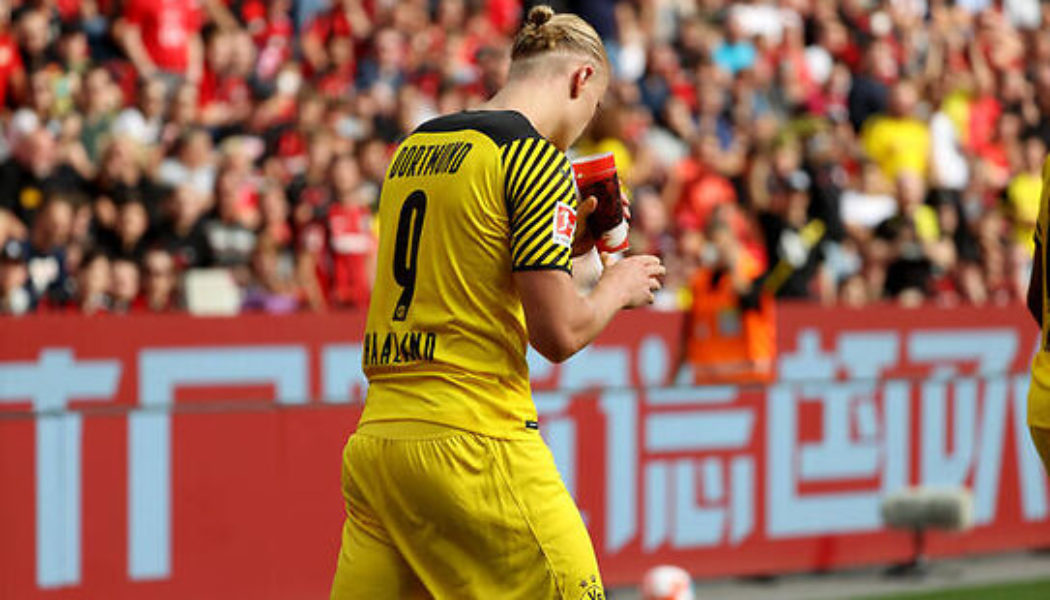 Borussia Dortmund vs FC Koln live stream, preview, team news & prediction