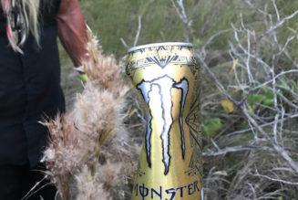 Dog the Bounty Hunter Finds Brian Laundrie Clue and/or Trash