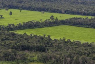 Facebook is trying to stop the sale of Amazon rainforest land on its Marketplace