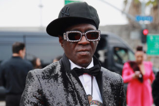 Flavor Flav Lawyers Say Public Enemy Rapper Will Fight Domestic Battery Charge