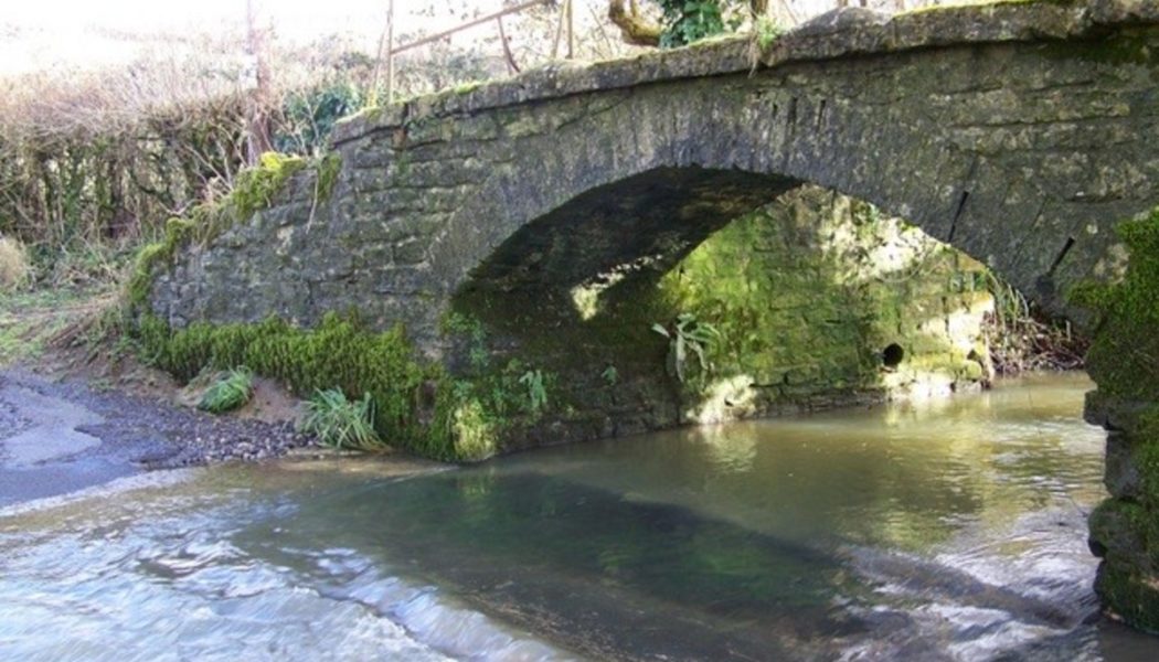 Glastonbury Festival Attendees Drastically Increase Drug Pollution in River by Urinating: Report
