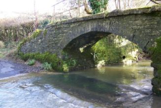 Glastonbury Festival Attendees Drastically Increase Drug Pollution in River by Urinating: Report
