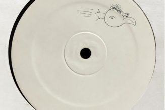 Ivy Lab Release Forward-Thinking “Press Play” EP on Dirtybird White Label Series