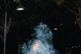 JPEGMAFIA Releases New Album LP!: Stream