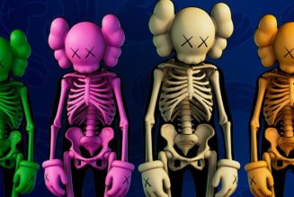 KAWS x Fortnite “COMPANION” Skin Pack Is Here