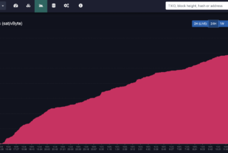 Liquid network block production resumes following transaction processing issues