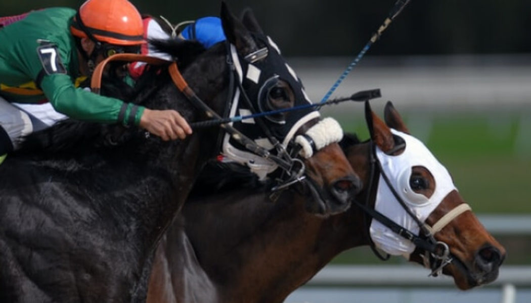 Lucky 15 Tips – Friday’s 445/1 Lucky 15 from Down Royal, Wetherby & Uttoxeter