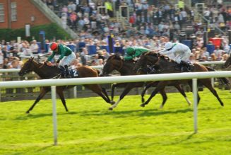 Lucky 15 Tips – Saturday’s 338/1 Lucky 15 from Newmarket, York & Chepstow