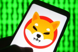 Memecoins Jump After Elon Musk Tweets a Photo of His Shiba Inu Puppy in a Tesla