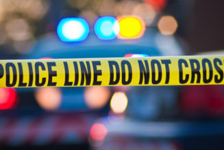 One Person Killed, Two Injured in Separate Falls at Phish Concert