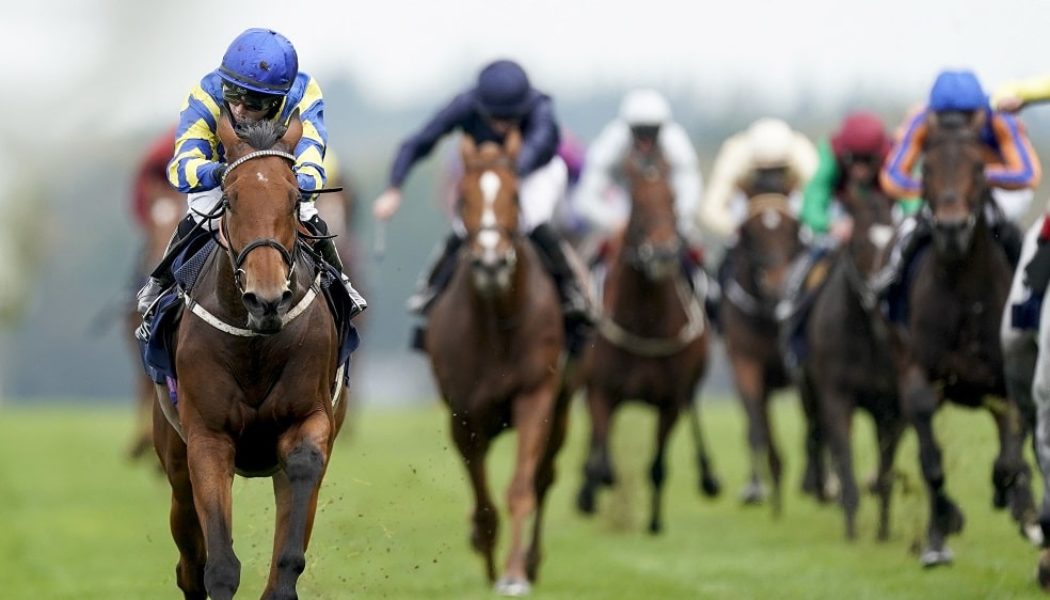 QIPCO British Champions Day Betting Tips – Who to Back in Ascot Champions Day Supporting Races