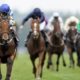 QIPCO British Champions Day Betting Tips – Who to Back in Ascot Champions Day Supporting Races